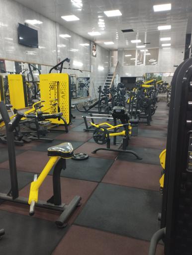 عکس پرورش اندام پرهیزکاری