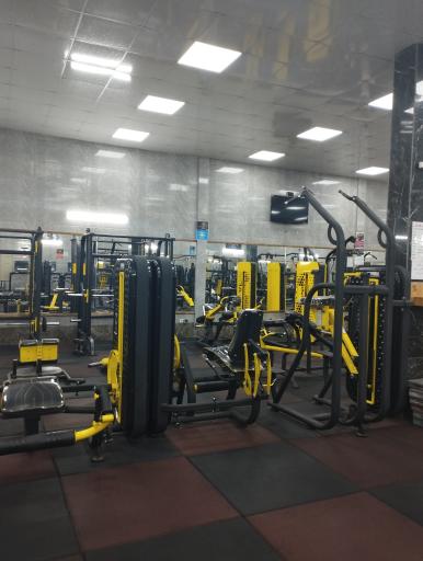 عکس پرورش اندام پرهیزکاری