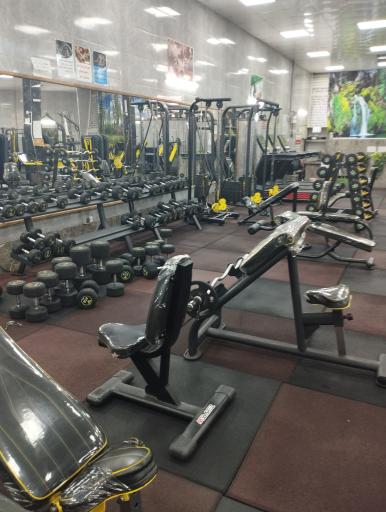 عکس پرورش اندام پرهیزکاری