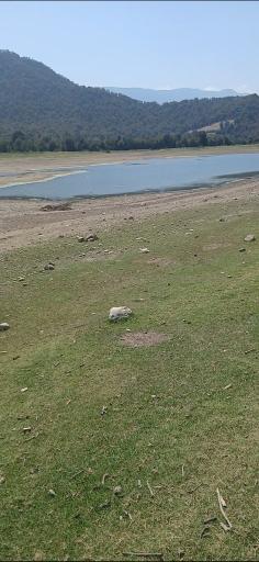 عکس دریاچه شفیع آباد