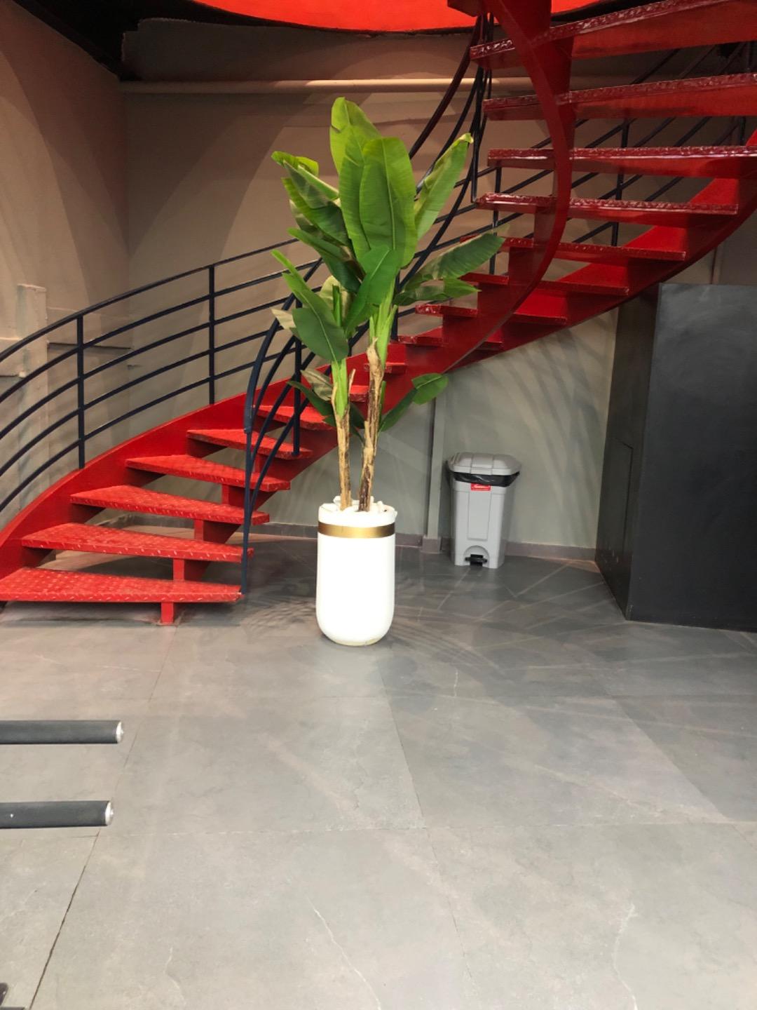 عکس باشگاه بدنسازی Z1pro