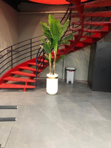 عکس باشگاه بدنسازی Z1pro