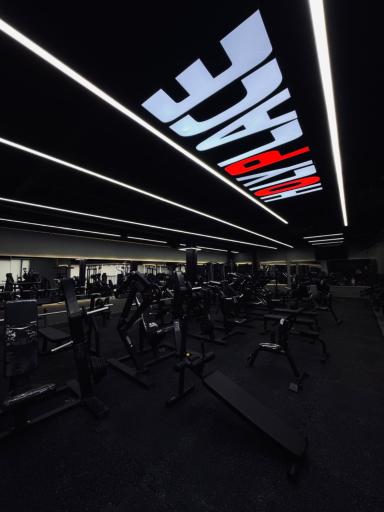 عکس باشگاه بدنسازی Z1pro