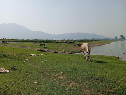 عکس دریاچه شفیع آباد