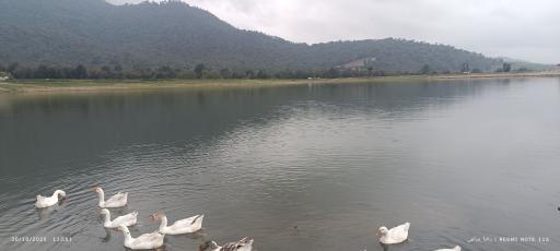 عکس دریاچه شفیع آباد