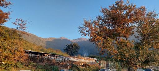 عکس دریاچه شفیع آباد