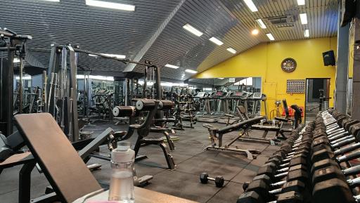 عکس باشگاه بدنسازی ژیوار 