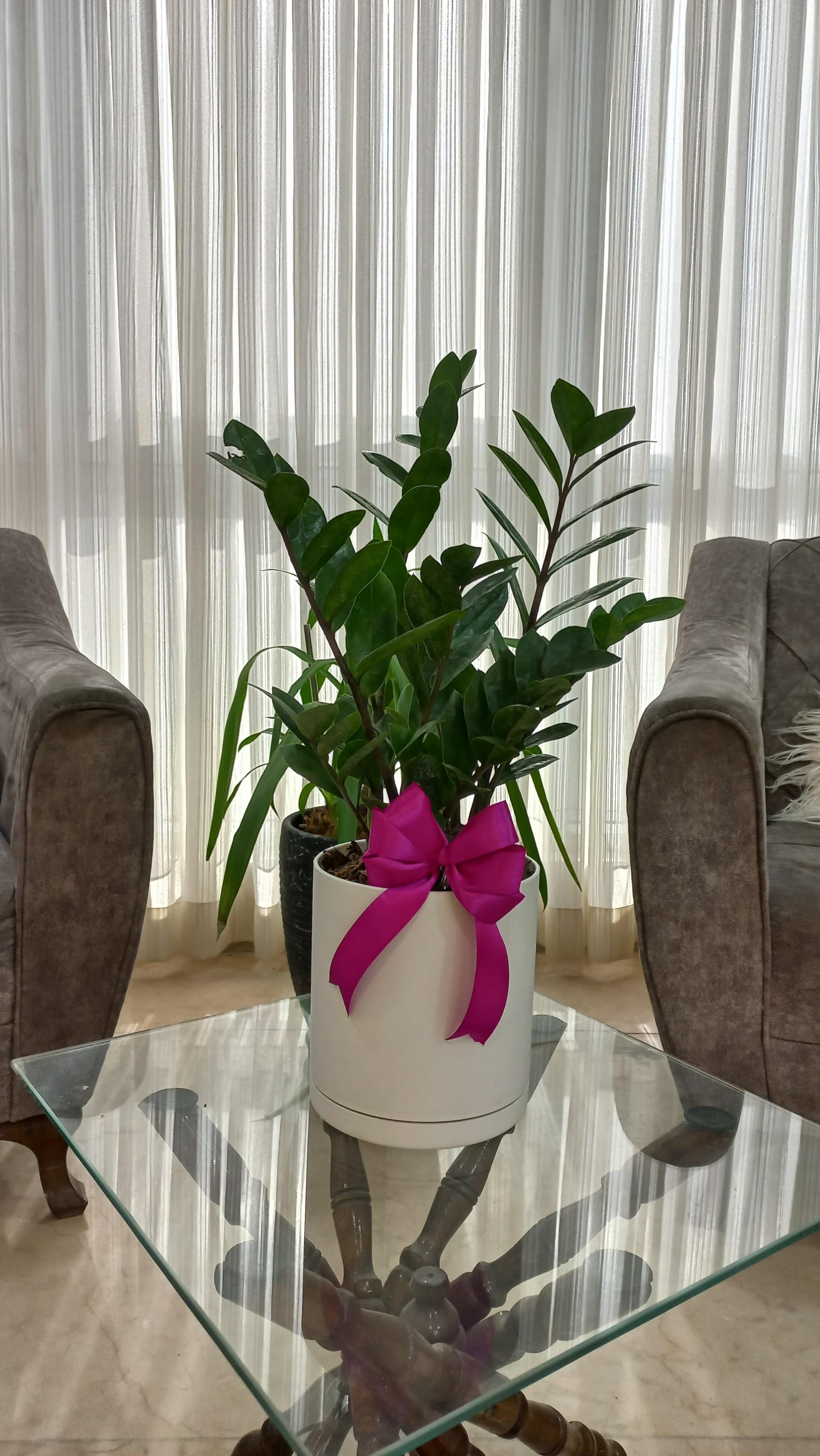 عکس سالن زیبایی ملکا