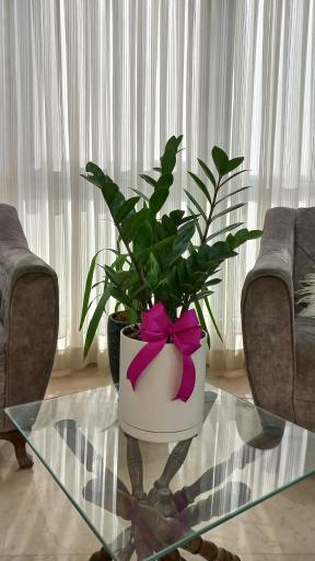 عکس سالن زیبایی ملکا