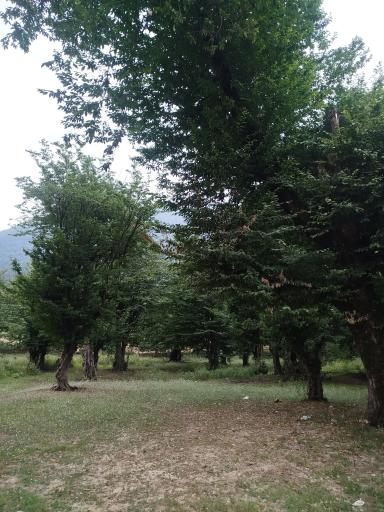 عکس دریاچه شفیع آباد