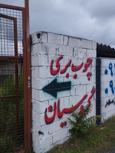 عکس چوب بری گروسیان