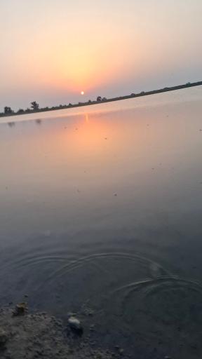 عکس دریاچه شفیع آباد