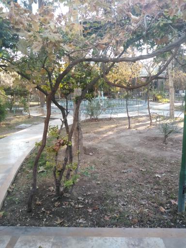 عکس رستوران باغ گلستان