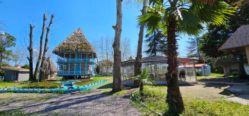 عکس پارک ساحلی و جنگلی آستانه اشرفیه