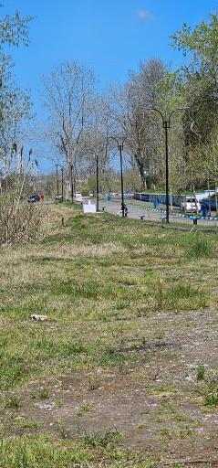 عکس پارک ساحلی و جنگلی آستانه اشرفیه