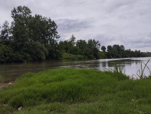 عکس پارک ساحلی و جنگلی آستانه اشرفیه