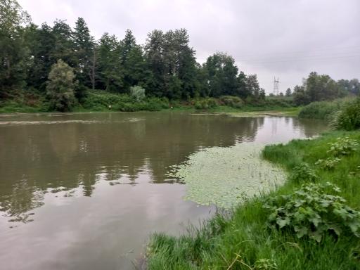 عکس پارک ساحلی و جنگلی آستانه اشرفیه