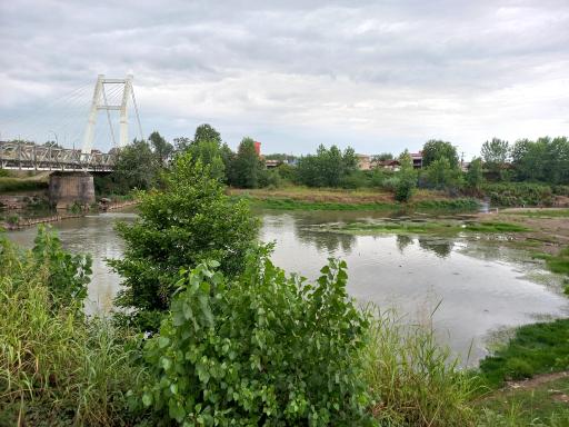 عکس پارک ساحلی و جنگلی آستانه اشرفیه