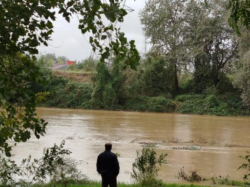 عکس پارک ساحلی و جنگلی آستانه اشرفیه