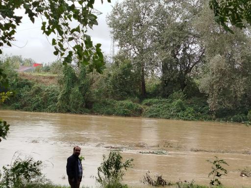 عکس پارک ساحلی و جنگلی آستانه اشرفیه