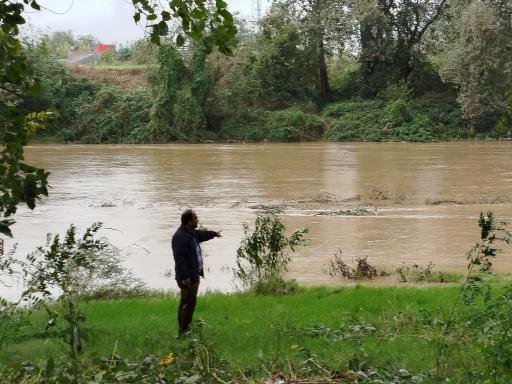 عکس پارک ساحلی و جنگلی آستانه اشرفیه