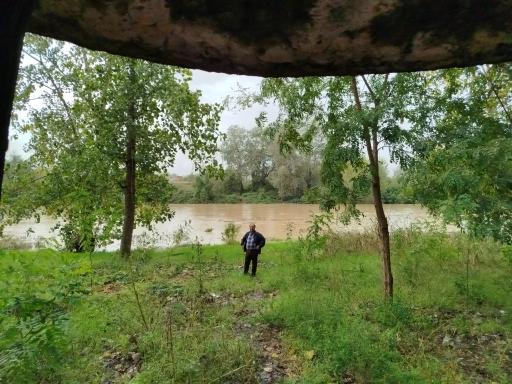 عکس پارک ساحلی و جنگلی آستانه اشرفیه