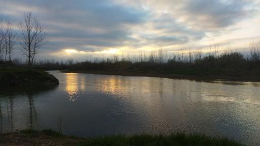 عکس پارک ساحلی و جنگلی آستانه اشرفیه