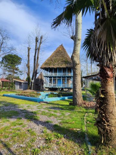 عکس پارک ساحلی و جنگلی آستانه اشرفیه