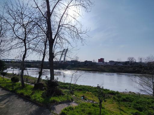 عکس پارک ساحلی و جنگلی آستانه اشرفیه