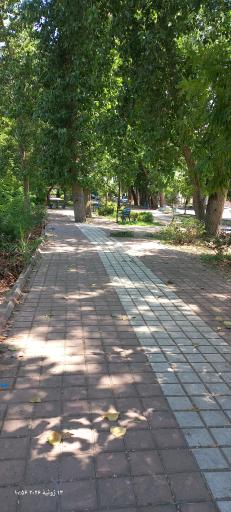 عکس پارک ساحلی و جنگلی آستانه اشرفیه