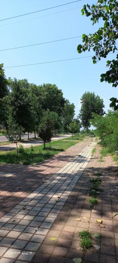 عکس پارک ساحلی و جنگلی آستانه اشرفیه