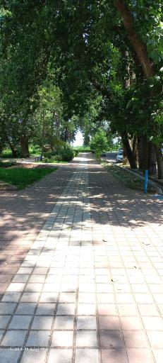 عکس پارک ساحلی و جنگلی آستانه اشرفیه