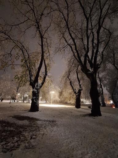 عکس پارک ساحلی و جنگلی آستانه اشرفیه