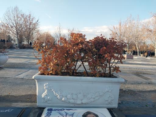 عکس مزار عارفه محتشم آرا