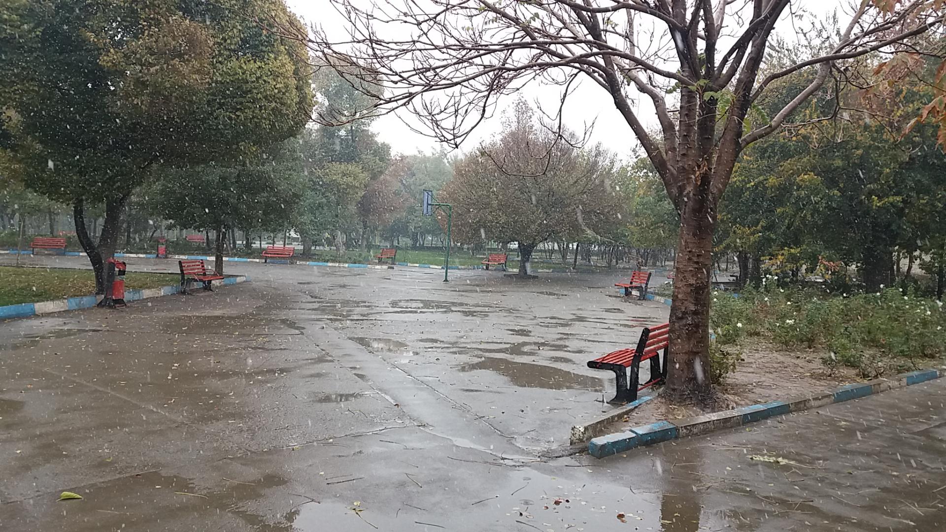 عکس بوستان سبز