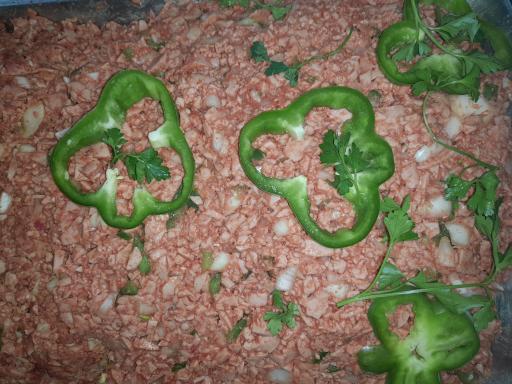 عکس فست فود ایلیا