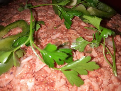 عکس فست فود ایلیا