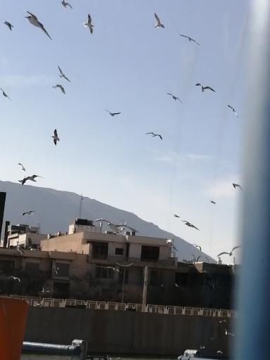 عکس جزیره نهر اعظم