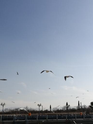 عکس جزیره نهر اعظم