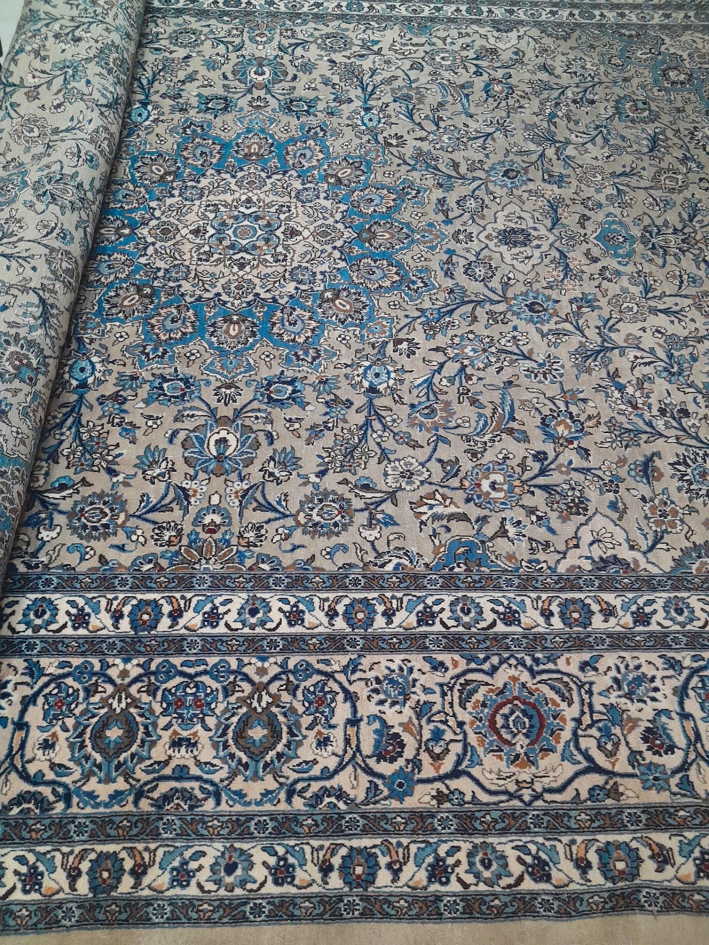 عکس قالیشویی نارون