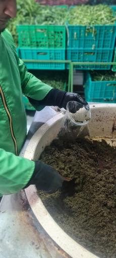 عکس سبزیجات آماده تک