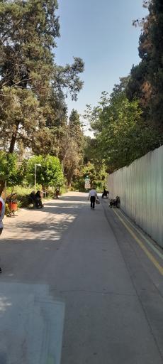 عکس بیمارستان روانپزشکی ایران