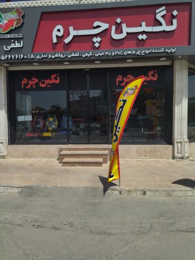 عکس نگین چرم 