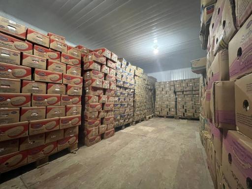 عکس سردخانه میهن صفری