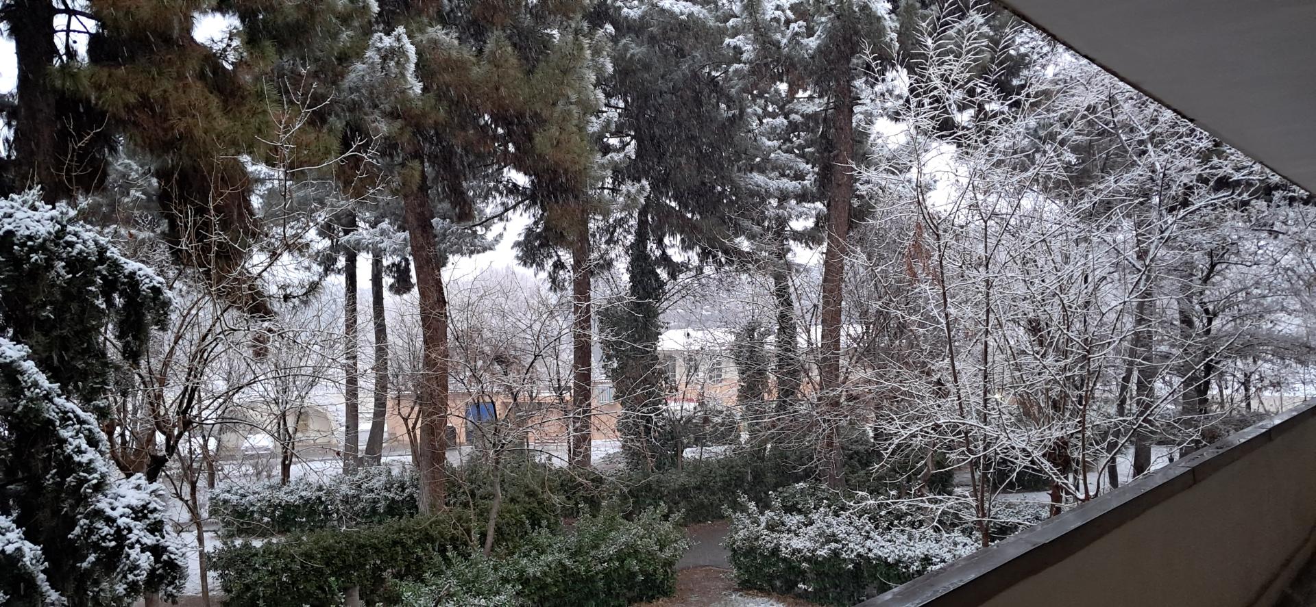 عکس مجتمع مسکونی شهید علی آبادی (نیروگاه)