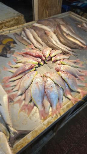 عکس بازار ماهی فروشان بوشهر