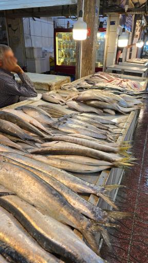 عکس بازار ماهی فروشان بوشهر