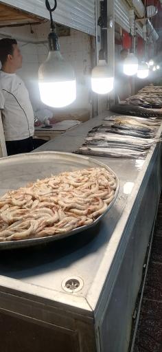 بازار ماهی فروشان بوشهر