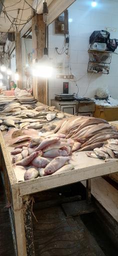 عکس بازار ماهی فروشان بوشهر