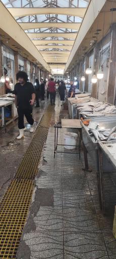 عکس بازار ماهی فروشان بوشهر